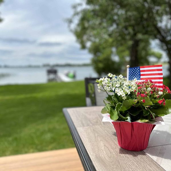 Bossert Home on Lake Lida • lakeside tabletop flowering plant containing the US flag